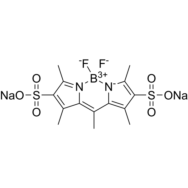 Pyrromethene 556 (PM556) 121461-69-6
